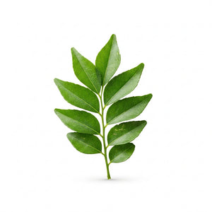 CURRY LEAVES