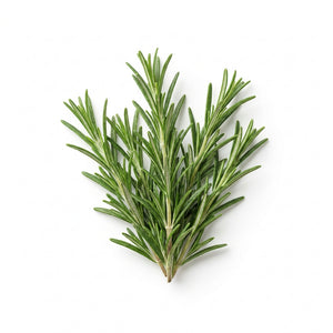 ROSEMARY